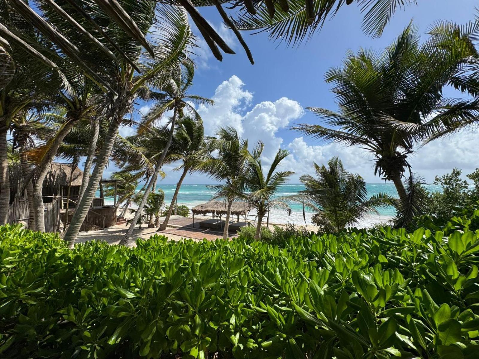 Art Village Tulum Esterno foto