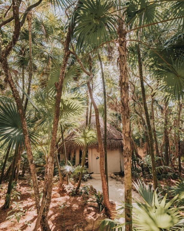 Art Village Tulum Esterno foto